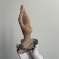 IMG_5869.jpeg