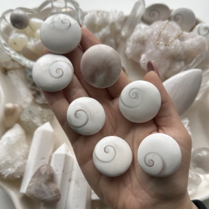 Muszla polerowana okrągła K14