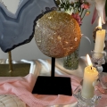 IMG_8968.jpeg