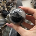 IMG_7028.jpeg