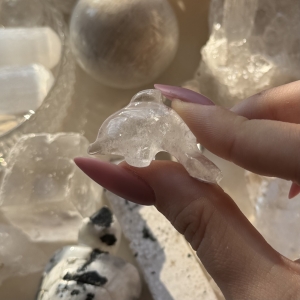 serce kryształ delfin K3