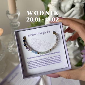 WODNIK PRZEDSPRZEDAŻ bransoletka zodiakalna fi 20.01 - 18.02