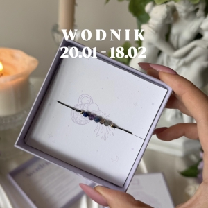 WODNIK PRZEDSPRZEDAŻ bransoletka zodiakalna 20.01 - 18.02 