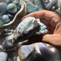 IMG_8663.jpeg
