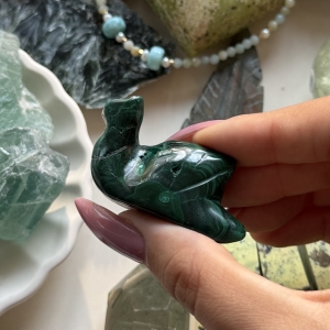 Malachit ślimak D2